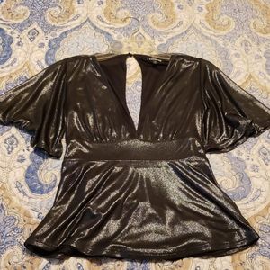 Express Shiny Silver V-Neck Blouse